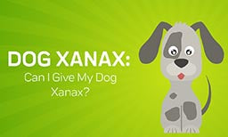 Can I Give My Dog Xanax? Natural Alternatives for Dog Xanax