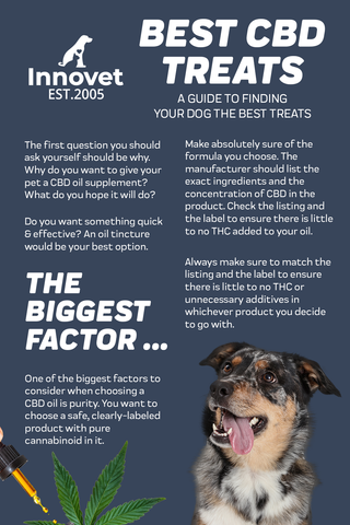 CBD Oil & Treats for Dogs (+Reviews) √ DOG CBD Dozing Calculator