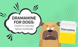 Dramamine for Dogs