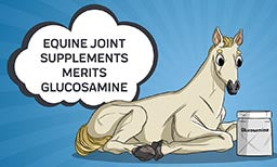 Equine Joint Supplements Merits Glucosamine