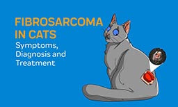 fibrosarcoma in cats