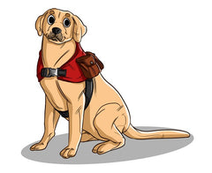 What is a service dog?