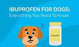 Ibuprofen For Dogs: Everything You Need To Know