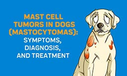 mast cell tumors