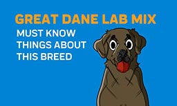 Must Know Things About Great Dane