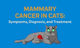 mammary cancer in cats