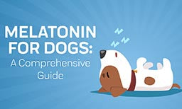 Melatonin for Dogs