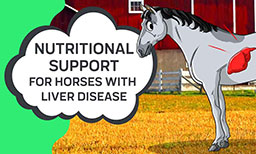 Nutritional Support For Horses With Liver Disease