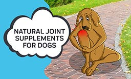 natural joint supplements for dogs