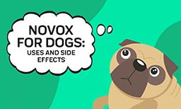 Novox for Dogs