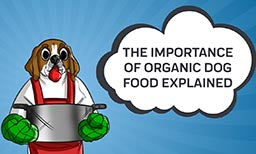 The Importance Of Organic Dog Food Explained