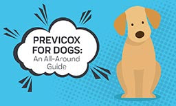 Previcox for Dogs: An All-Around Guide