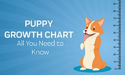 Puppy Growth Chart