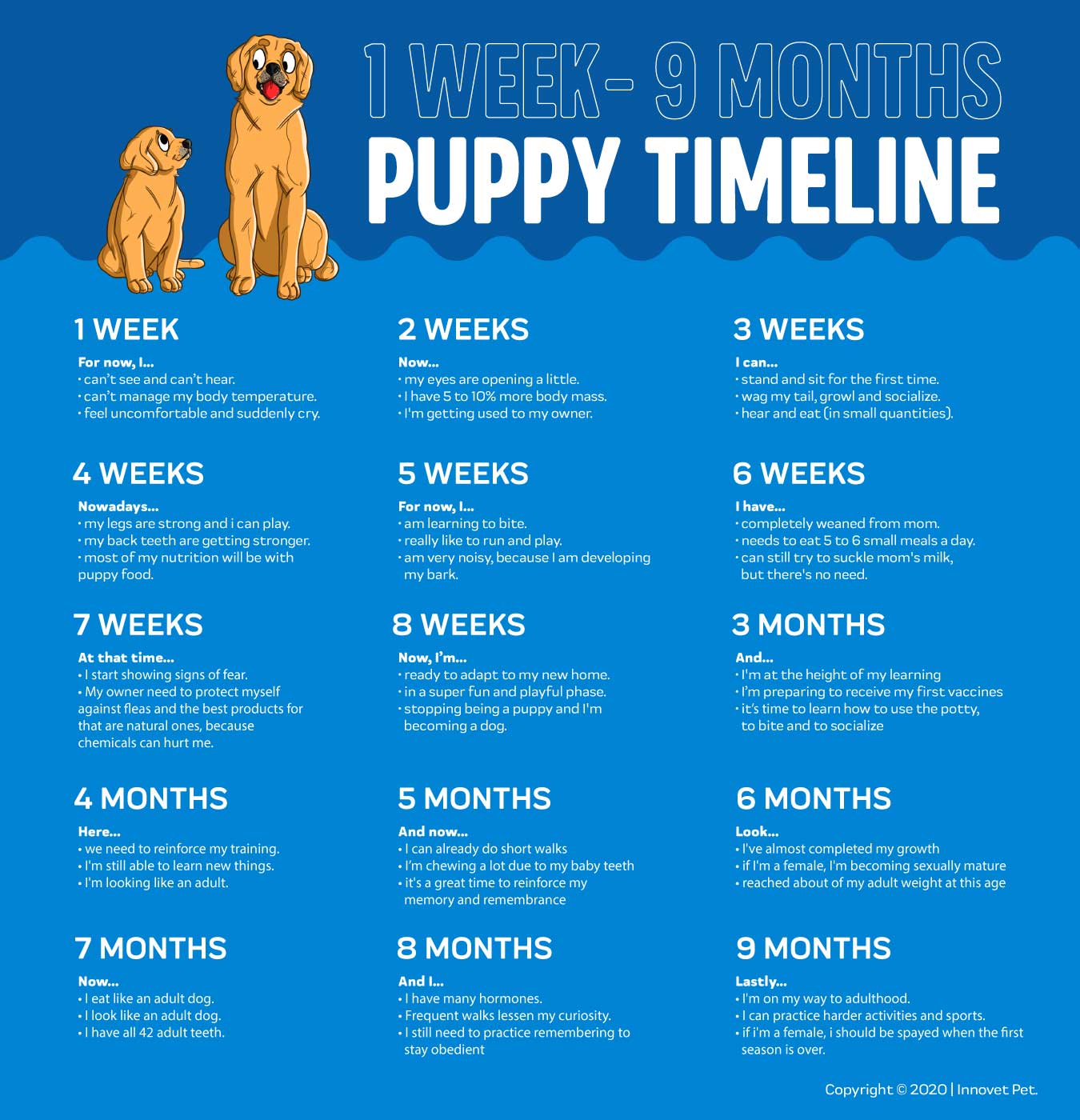 Puppy Growth Chart By Month & Breed Size With Faq - All You Need To Kn –  Innovet Pet