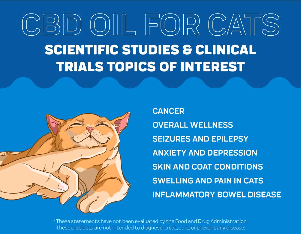 A Comprehensive Guide To Using Cbd Oil For Cats Innovet Pet