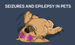 guide for dog with seizures