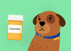 carprieve for dogs side effects