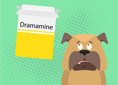 can you give dogs dramamine for anxiety