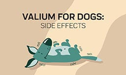 Side Effects Of Valium For Dogs