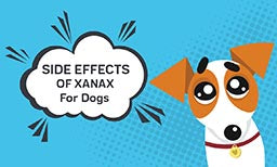 Xanax for dogs: Side Effects