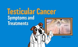 testicular cancer in dogs