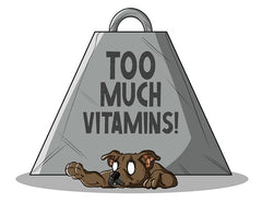 Which Vitamins Should My Pets be Given? | Innovet Pet