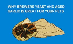 Brewers Yeast plus aged garlic