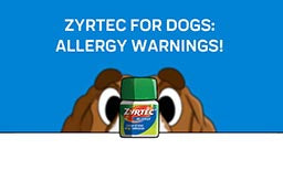 Zyrtec For Dogs: Allergy Warnings!