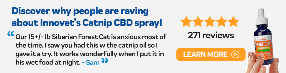 CBD for cats with Feline coronavirus