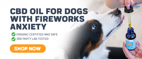 CBD Oil for Dogs With Fireworks Anxiety