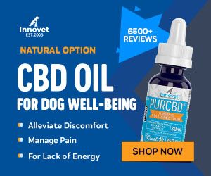 how long does it take for meloxicam to start working in dogs