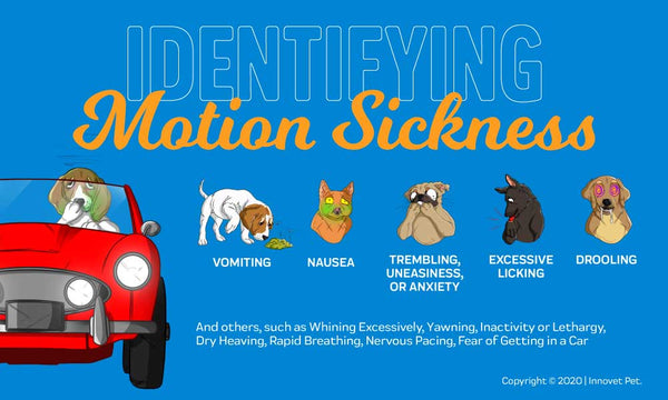 Identifying Dog Motion Sickness
