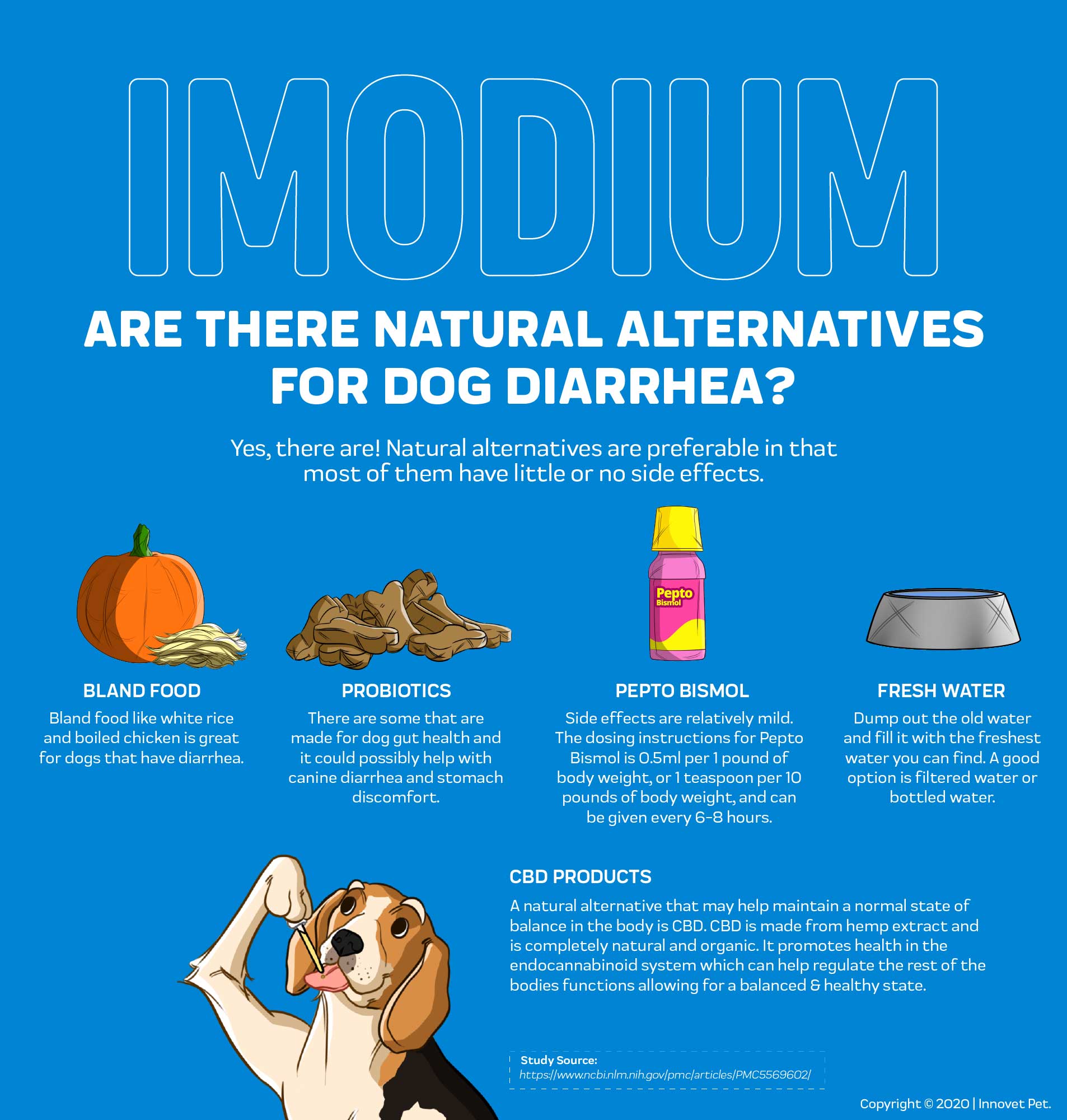 can i give imodium to dogs