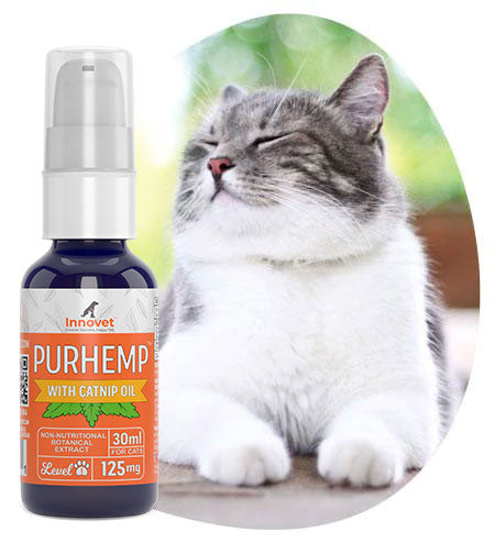 How can Hemp with Catnip Help my Cat?