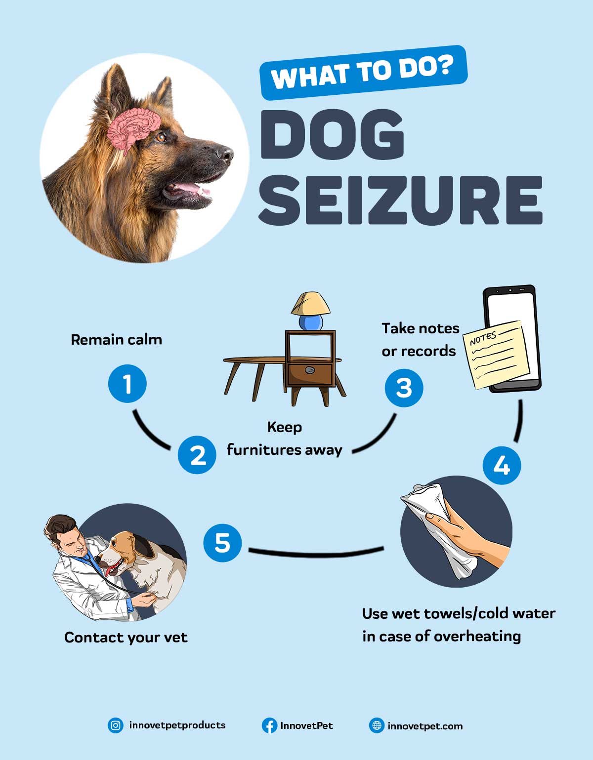 what happens before a dog has a seizure