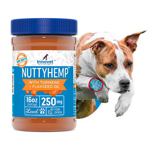 Alternative to Nutty Hemp - CBD oil for Dogs