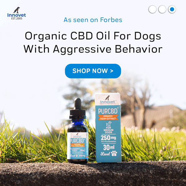 CBD Oil for Dogs with Aggressive Behavior