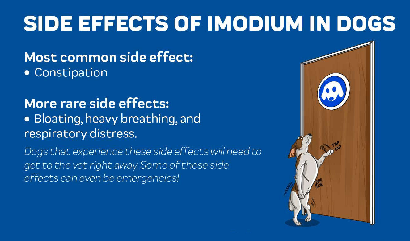 imodium for dogs side effects