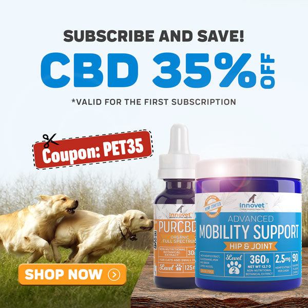 CBD products for pets 35% OFF