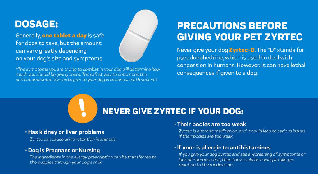 can you give zyrtec to a dog for allergies