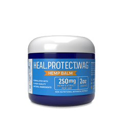 CBD for dogs skin balm