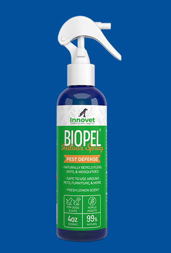 BugPursuit, Instant Natural Indoor Pest Control Spray, Carpet Beetle Killer, Fly Repellent, and Many More. USDA Biobased Certified, Plant Based