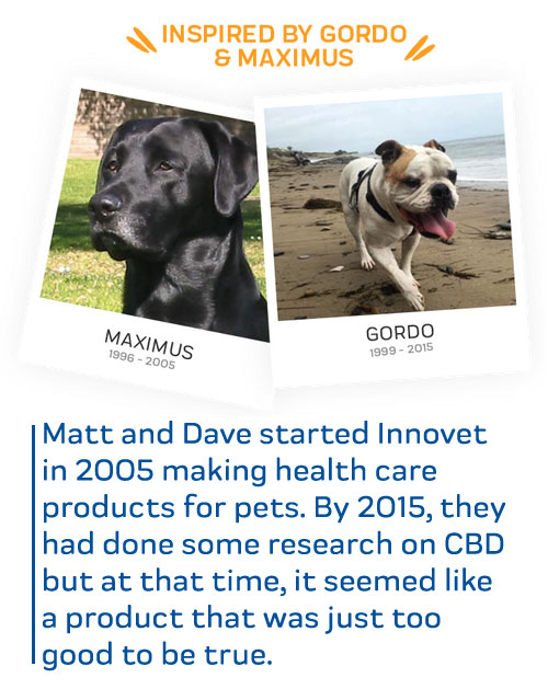 Matt and Daves story about Maximus and Gordo