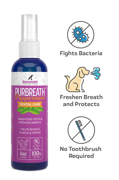 TTEDMO 2023 New Pet Clean Teeth Spray,Pet Clean Teeth Cleaning Spray for  Dogs & Cats,Pet Oral Spray Clean Teeth,Petclean No Brushing Pet Oral Care