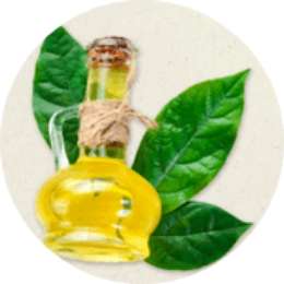 Shop HolistaPet CBD CatNip Spray (20 mg Total Nano CBD) Online