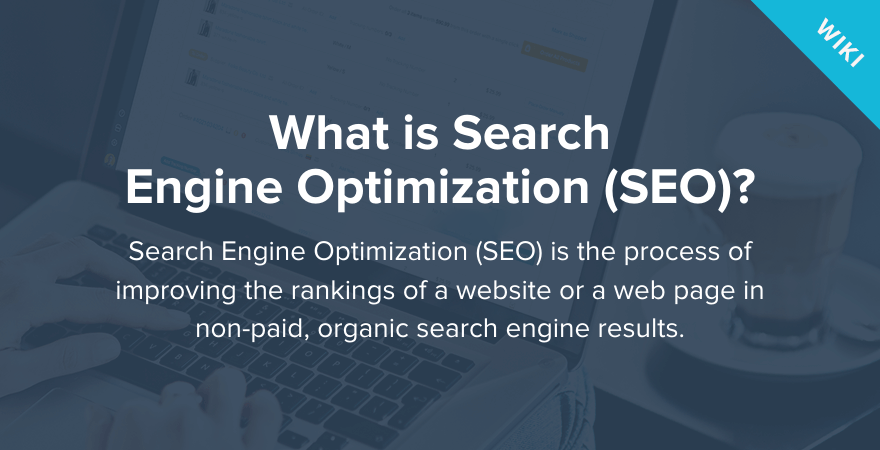 What is Search Engine Optimization?