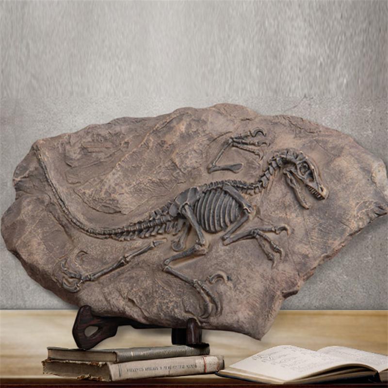 Resin dinosaur fossil Jurassic home decor - Natural ...
