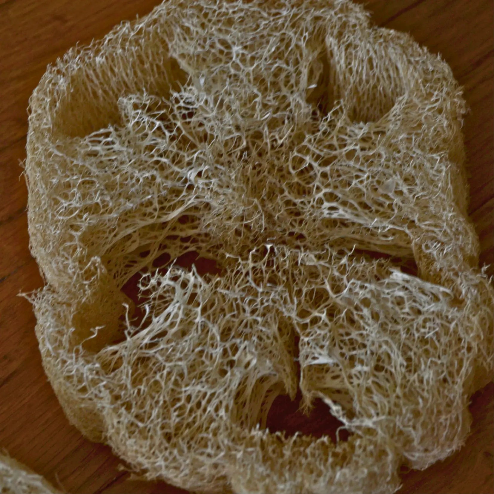 Image of a biodegradable natural loofah sponge | Le sens des choses, an online store selling artisanal, natural, and eco-friendly products made in France and Europe: handmade soaps, scented candles, and zero-waste accessories.