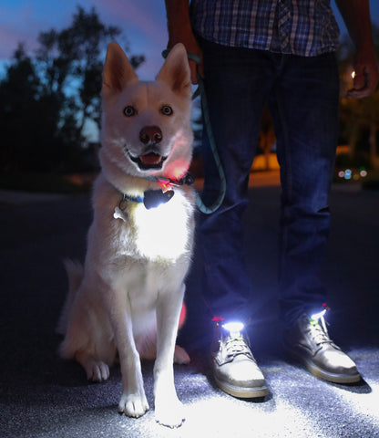 safety gear for walking at night