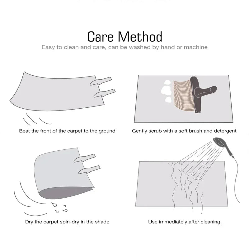 Diagram showing care method for a carpet with washing instructions.